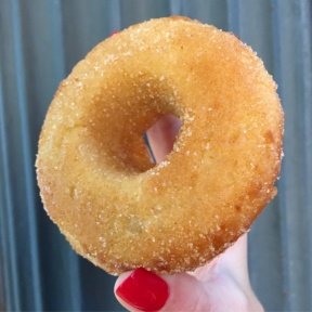 Gluten-free donut from Mulberry & Vine